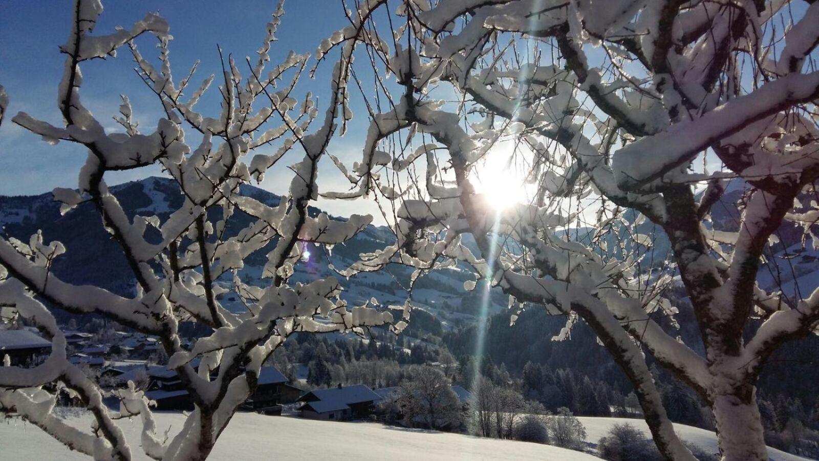 Außermoos-Zuhaus Alpbach Exterior foto